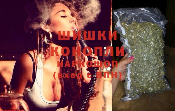 PSILOCYBIN Медвежьегорск