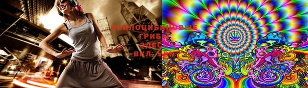 PSILOCYBIN Медвежьегорск