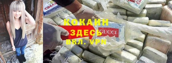 PSILOCYBIN Медвежьегорск