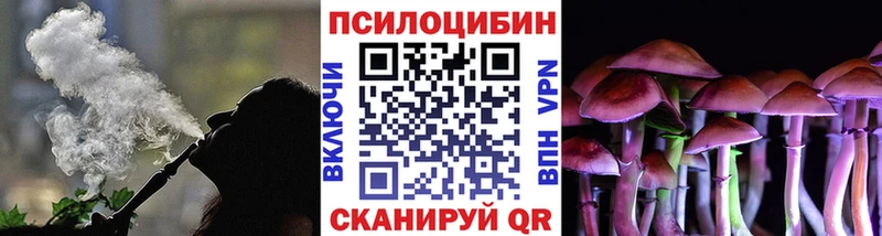 Галлюциногенные грибы Psilocybe Воронеж