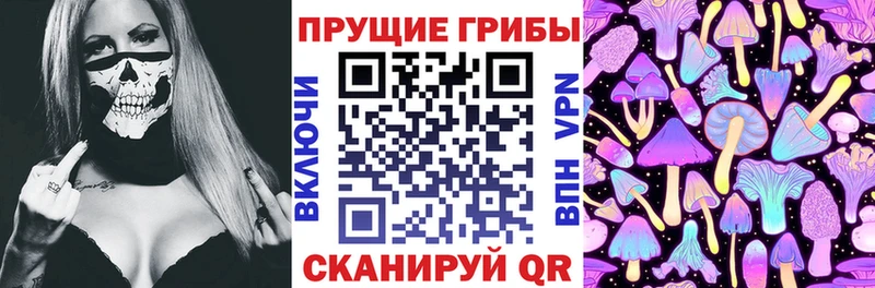 Галлюциногенные грибы Psilocybine cubensis  Воронеж 