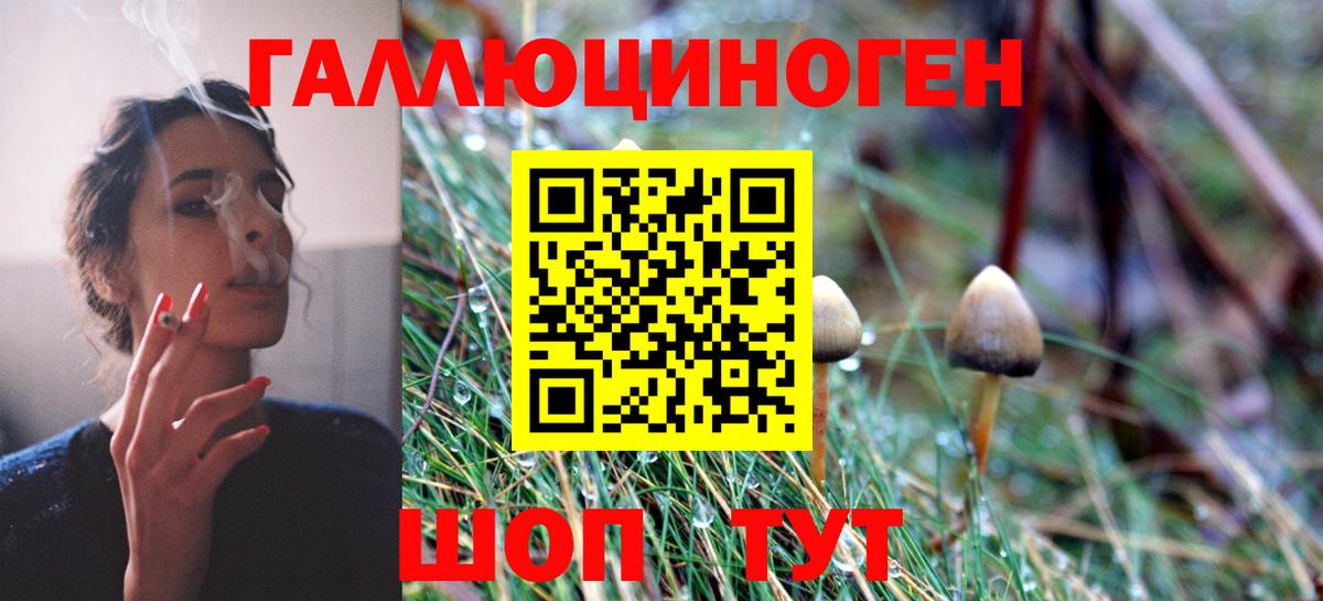 Галлюциногенные грибы Psilocybe  Воронеж 