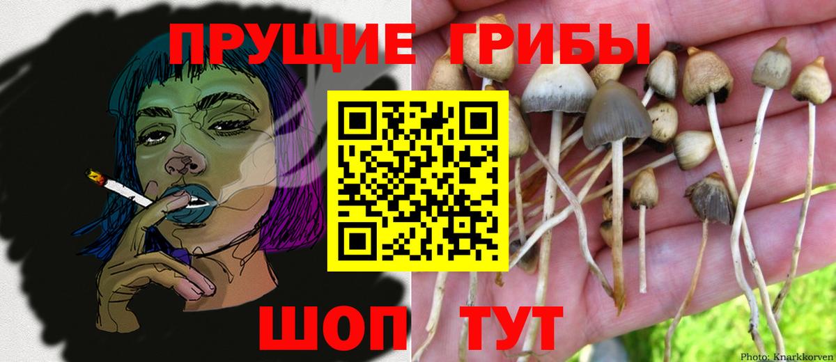 Воронеж  закладка  Вход с VPN  Галлюциногенные грибы мухоморы  Галлюциногенные грибы ЛСД 