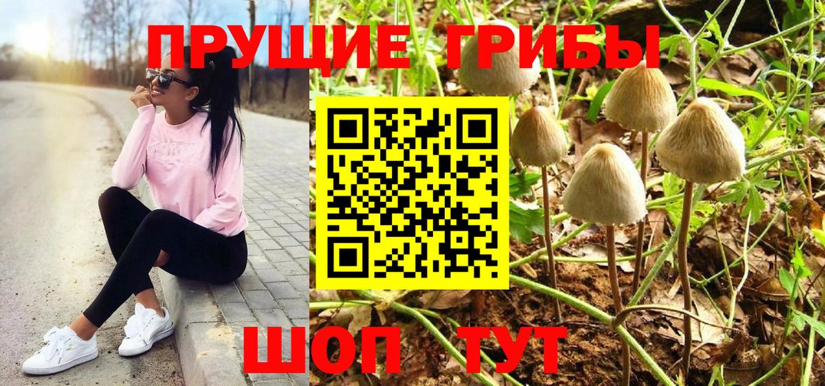 Галлюциногенные грибы Psilocybe  Вход с VPN  Воронеж 