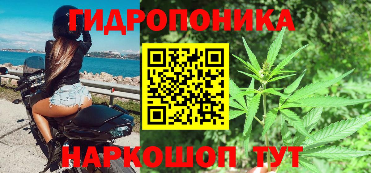Конопля конопля  Шишки марихуана план  Вход с VPN  Воронеж  Каннабис план 